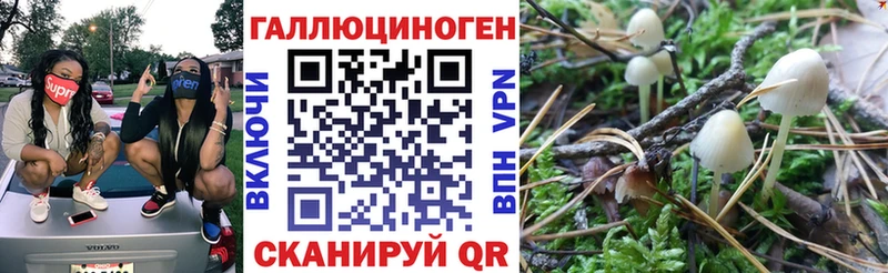 Псилоцибиновые грибы GOLDEN TEACHER  Купить где  Волгореченск 